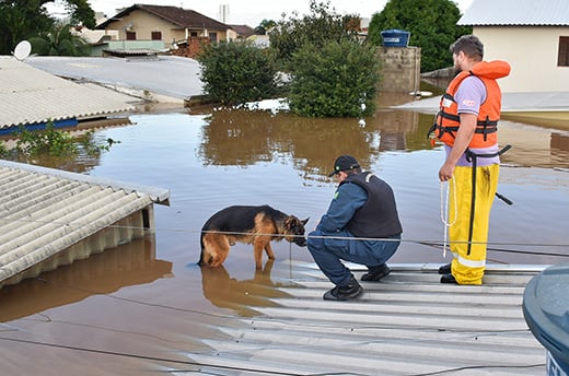A government responder approaches a dog stranded on a flooded rooftop in southern Brazil, 4 May 2024.