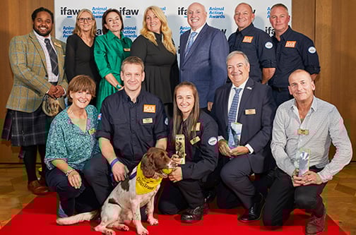 Animal Action Awards winners