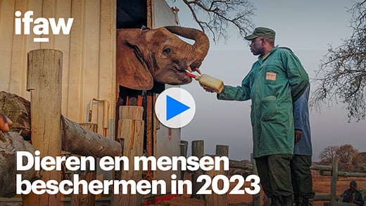 Dieren en mensen beschermen in 2023