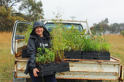 Josey Sharrad met enkele van de 3500 jonge boompjes die door het IFAW-team en de Koala Clancy Foundation zijn geplant bij de Moorabool River in Victoria 