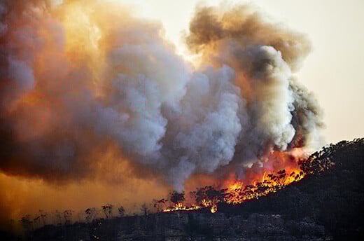 Uit de hand gelopen bosbrand op Narrow Neck Plateau, Katoomba, Blue Mountains, Australië (2019). © Andrew Merry/Getty Images