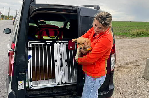 Eine Frau hält einen jungen, kleinen Hund auf dem Arm. Sie stehen vor einem Auto, wo die Kofferraumtür offen steht.