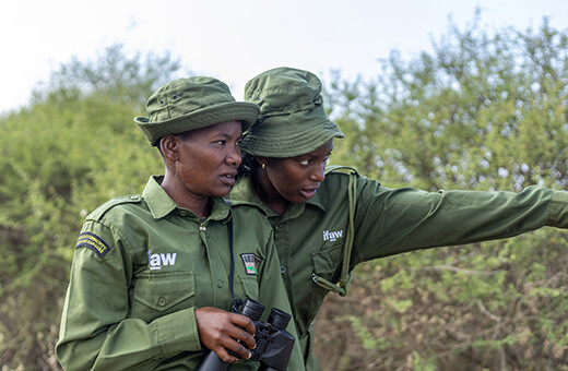 Team Lioness-rangers op patrouille door Amboseli National Park.